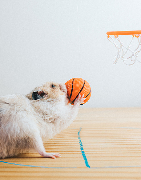 Заботьтесь о себе — и достигайте целей