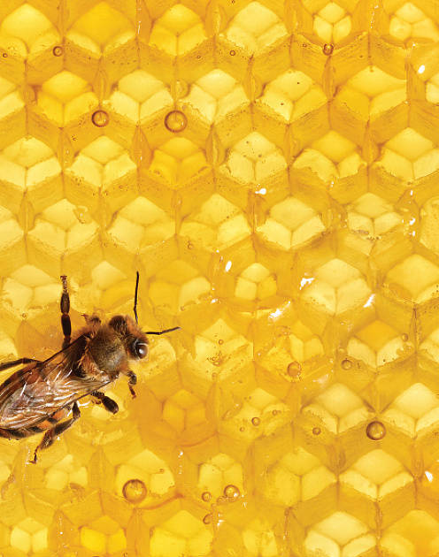 Высокая цена эффективности