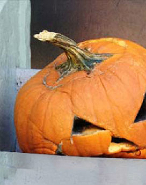 Как справиться с плохими боссами