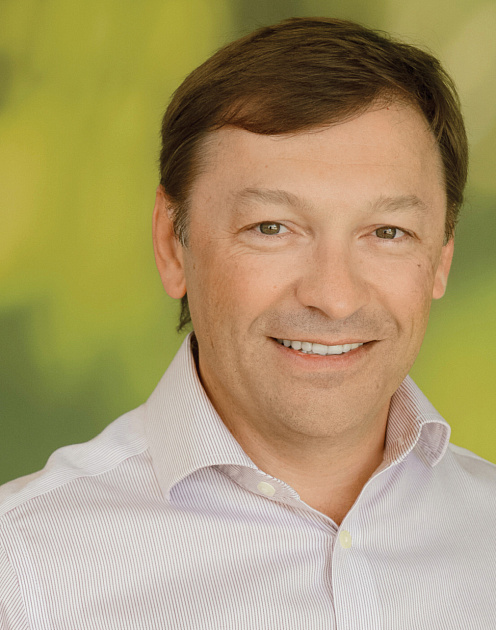 «Наша стратегия — муравьи против жука»