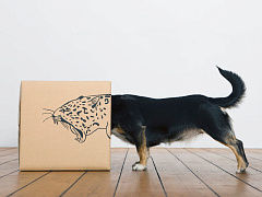 Избавьтесь от скромности