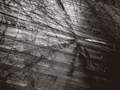 Как создать Uber или Airbnb для своего продукта