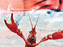 Как снизить градус пассивной агрессии в вашей команде