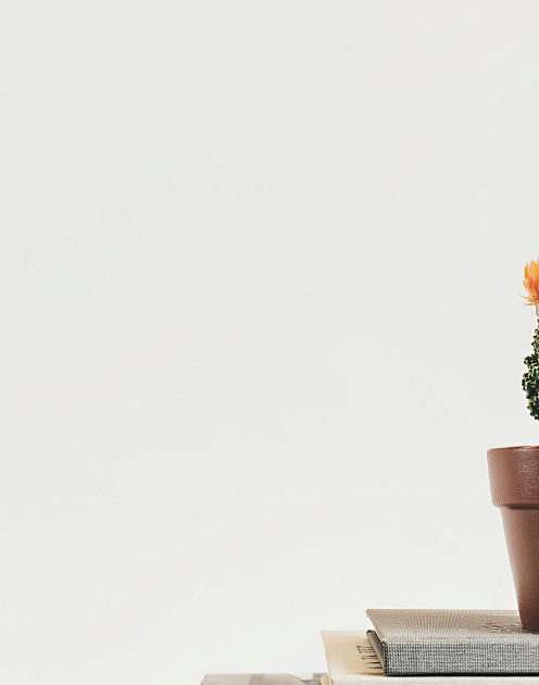 Зараженные цинизмом