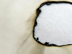 5 лет работы на одном месте: что дальше?