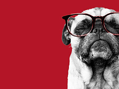 Как управлять людьми, которые умнее вас