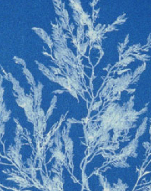 4 вида работы будущего