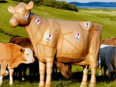 Средний бизнес новичкам не рад