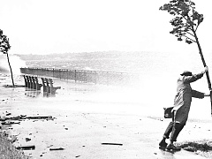 Стресс вокруг: как не сойти с ума в эпоху перегрузок и глобальных проблем