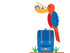 Готовы ли вы к работе в стартапе?