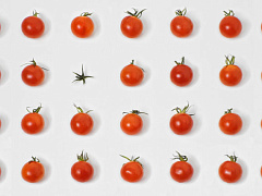 Как правильно оптимизировать расходы во время кризиса