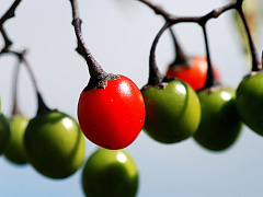 Что отличает вашу компанию от других?