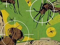 Венчурному капиталисту