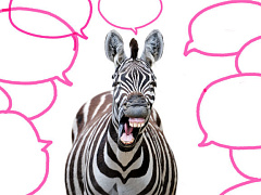 Не говорите слишком много!