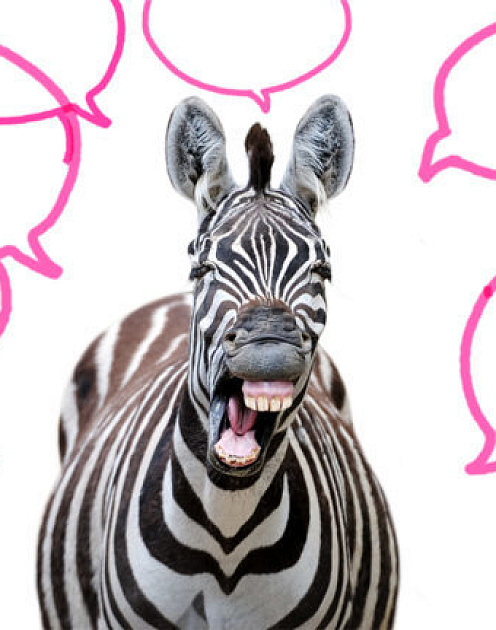 Не говорите слишком много!