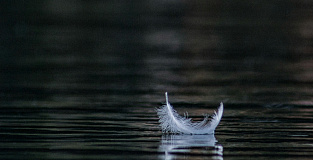 Может ли молчание погубить вашу компанию