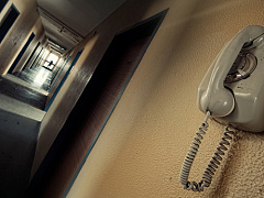 Три обязательных условия функционирования горячей линии в компании