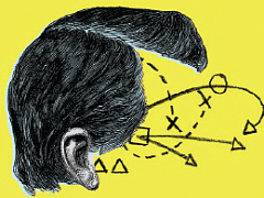 Дойти своим умом