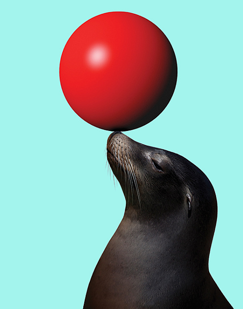 Как пандемия повлияла на требование о высшем образовании