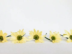 Какой может быть корпоративная культура в компаниях будущего