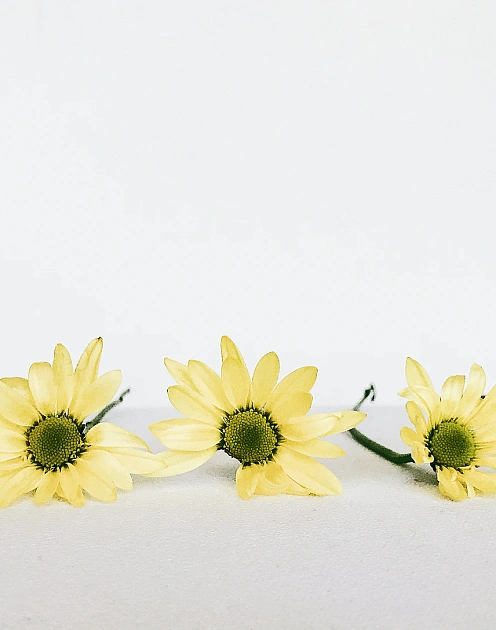 Какой может быть корпоративная культура в компаниях будущего