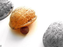 Концепция светлого будущего или повседневная реальность?