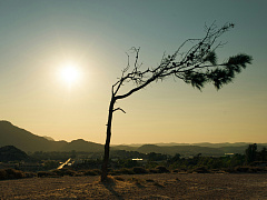 «Умеренные радикалы»: как, не разрушая старое, создавать новое
