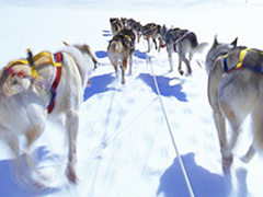 Как улучшить свое внимание