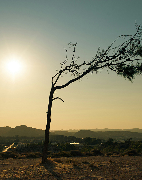 «Умеренные радикалы»: как, не разрушая старое, создавать новое