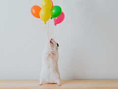 Как мотивировать сотрудников, если денег не хватает