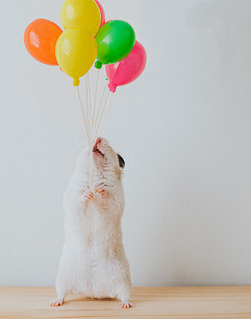 Как мотивировать сотрудников, если денег не хватает