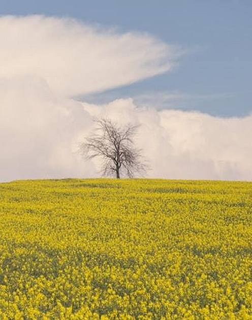 Всё, что нужно знать о медитации и осознанности