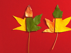 Не бойтесь неудач