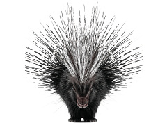 Синергетический дефект