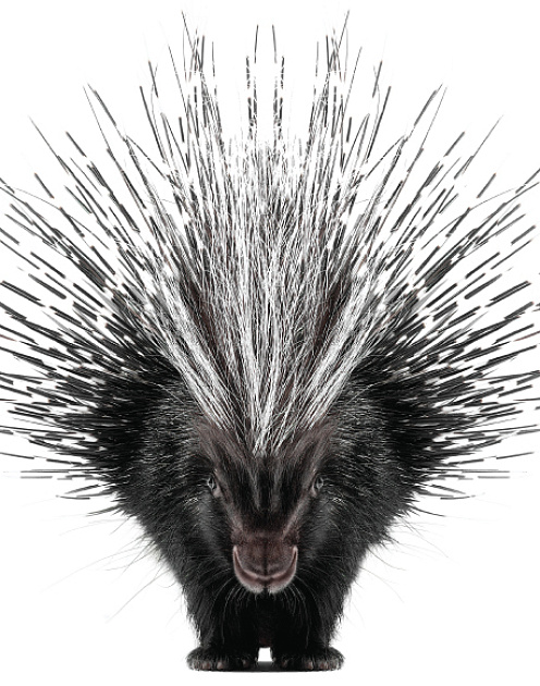 Синергетический дефект