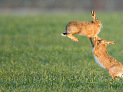 Как контролировать эмоции во время сложного разговора