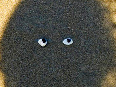 Хватит искать свое истинное Я на работе