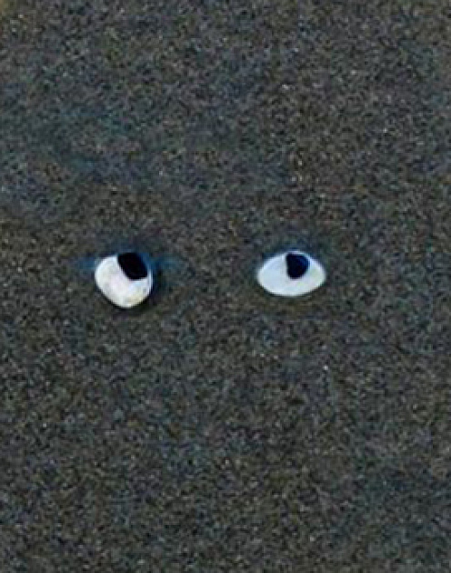 Хватит искать свое истинное Я на работе