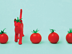 Что мы знаем о ложных новостях