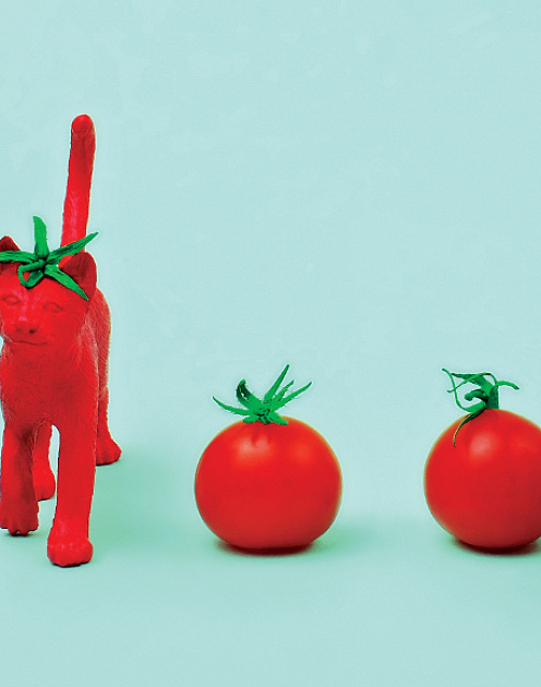 Что мы знаем о ложных новостях