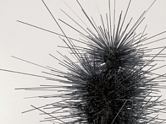 Парадокс эффективности