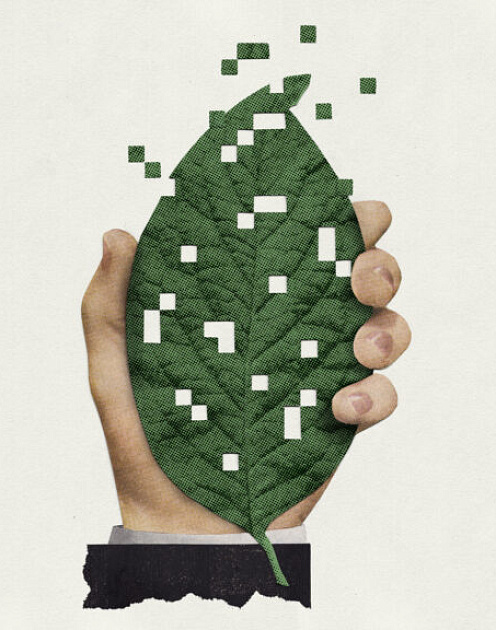 Экологично ли ваше ПО?