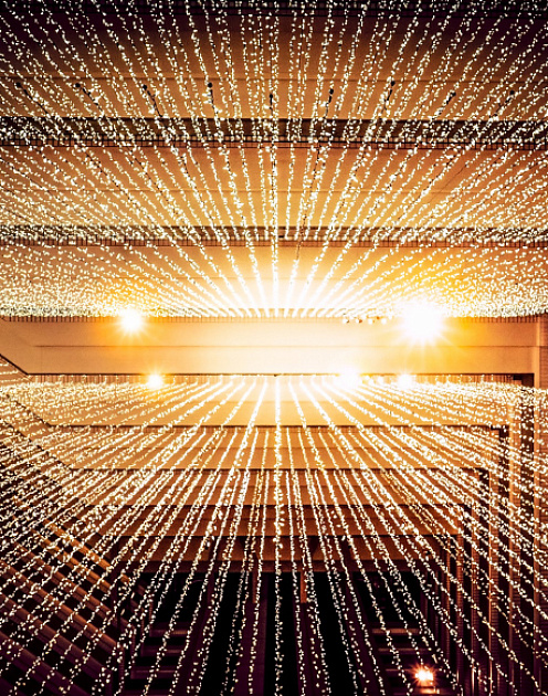 В ожидании бессмертия