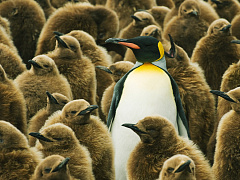 В поисках инноваций