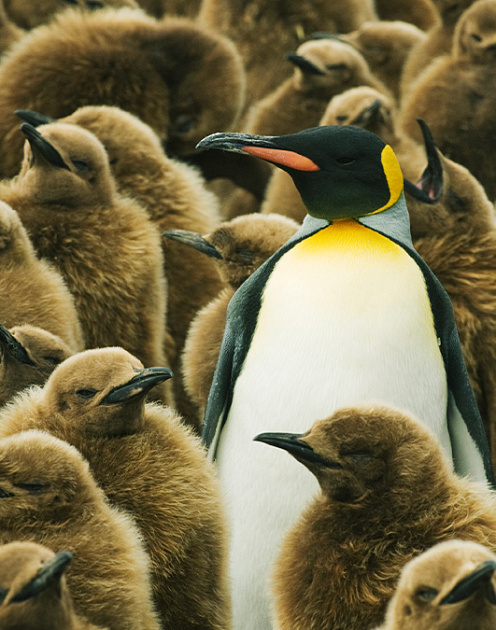 В поисках инноваций