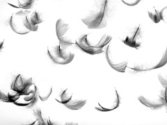 Сбой в эволюции капитализма