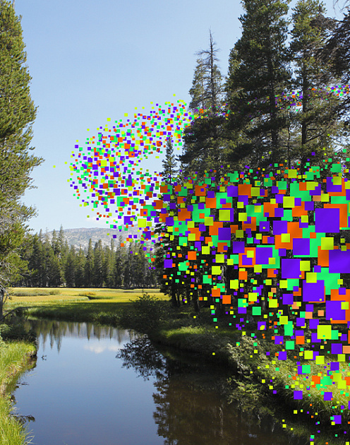 Такой разный ИИ: что нужно знать о типах задач, которые решают алгоритмы