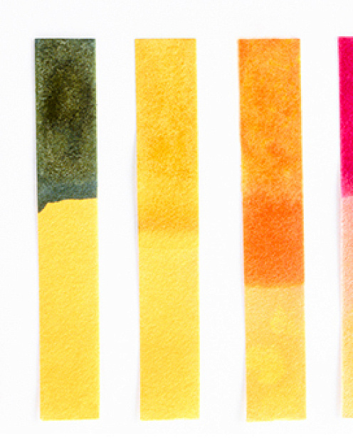 Верифицируемая идея лучше просто хорошей идеи