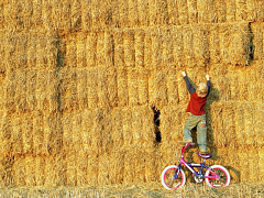 «Я не знаю»: как научить обращаться за помощью