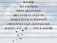 Где взять нужные кадры, если на рынке их нет